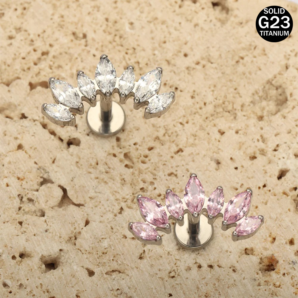 16G 18G F136 Titanium Brand Ne - огляд і ціна Body Jewelry Brands